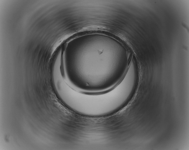 X0000099950973200806061538