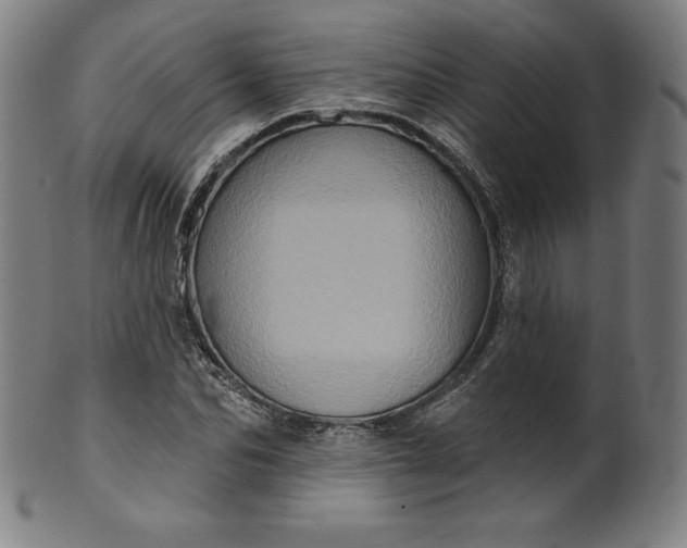 X0000099950974200806061538