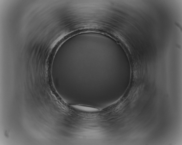 X0000099950975200806061538