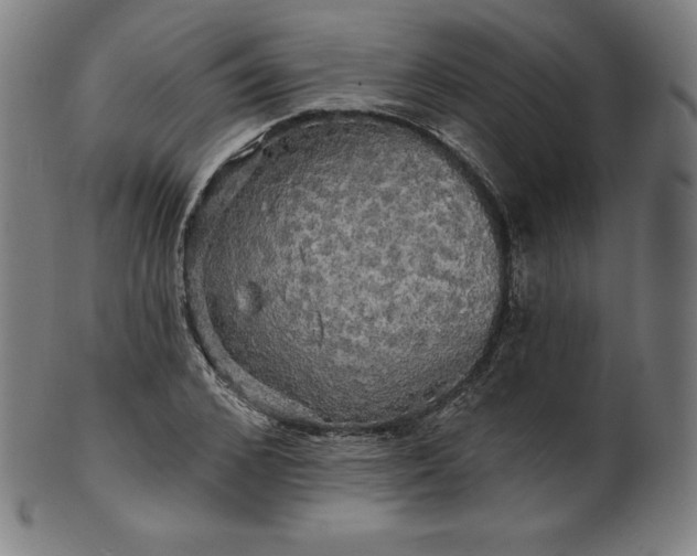 X0000099950976200806061538