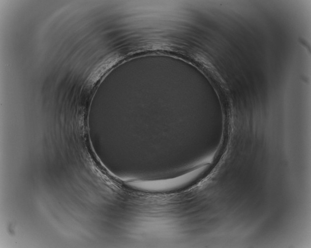 X0000099950977200806061538