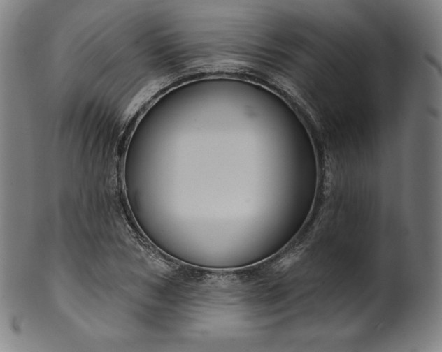 X0000099950978200806061538