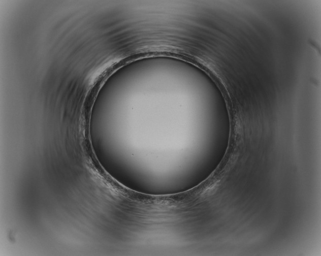 X0000099950979200806061538