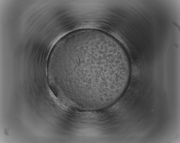 X0000099950980200806061538