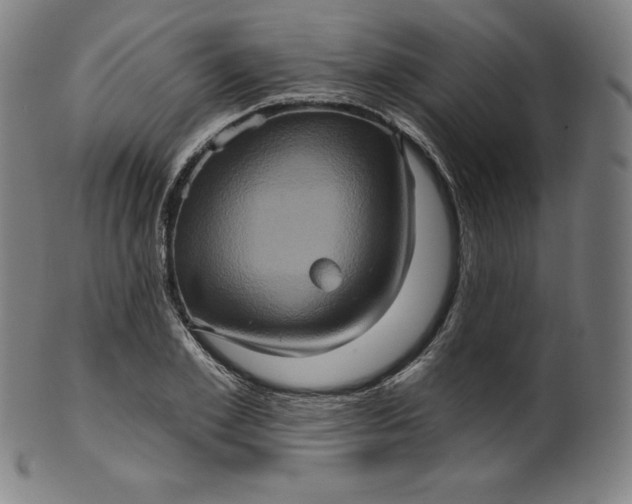 X0000099950981200806061538