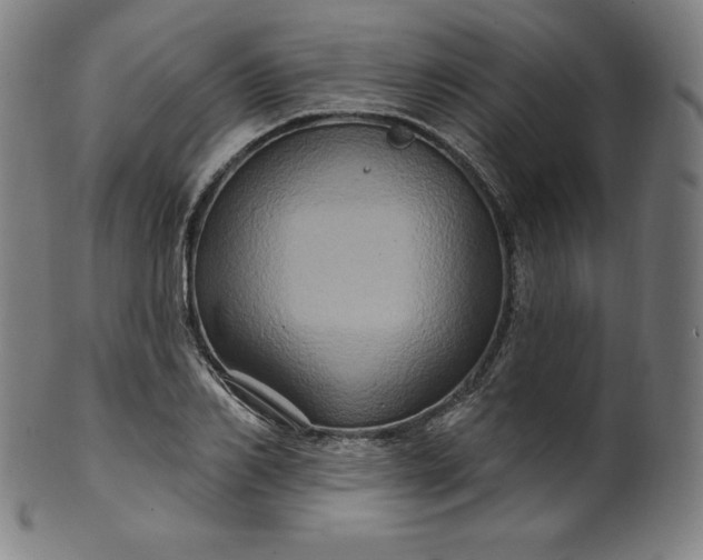 X0000099950982200806061538