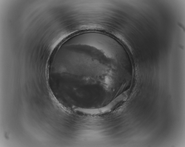 X0000099950983200806061538