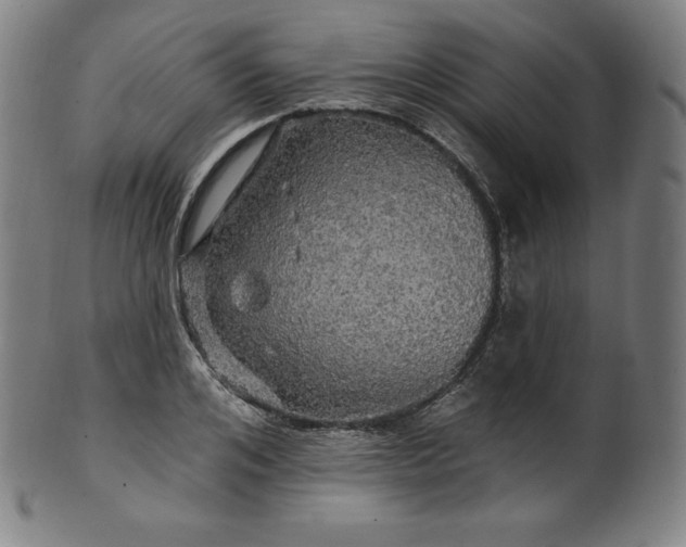 X0000099950984200806061538