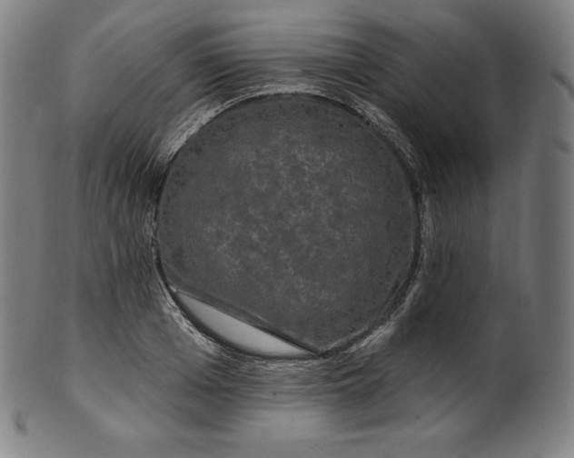 X0000099950985200806061538