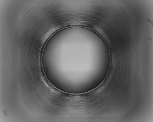 X0000099950986200806061538