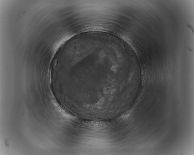 X0000099950987200806061538