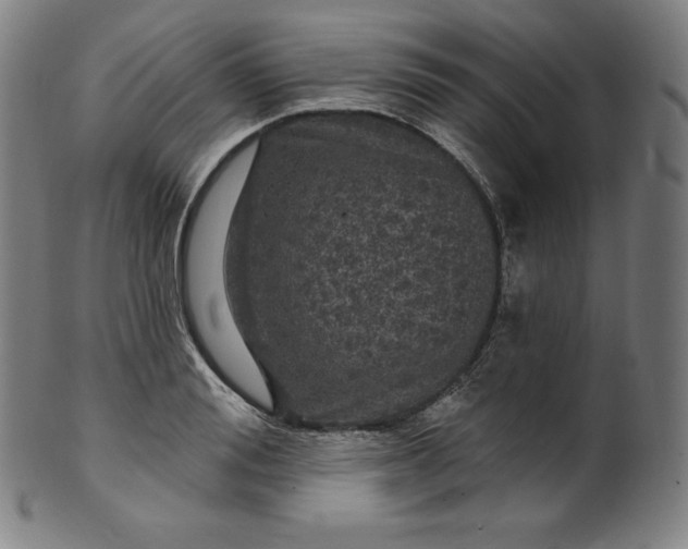 X0000099950988200806061538