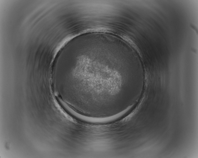 X0000099950989200806061538