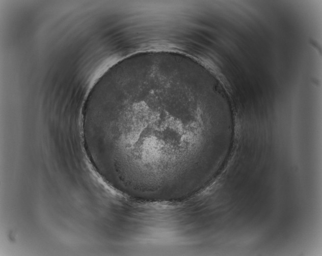 X0000099950990200806061538