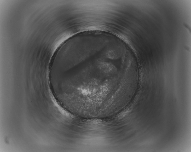 X0000099950991200806061538