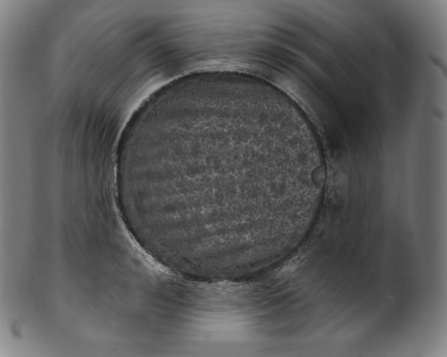 X0000099950992200806061538