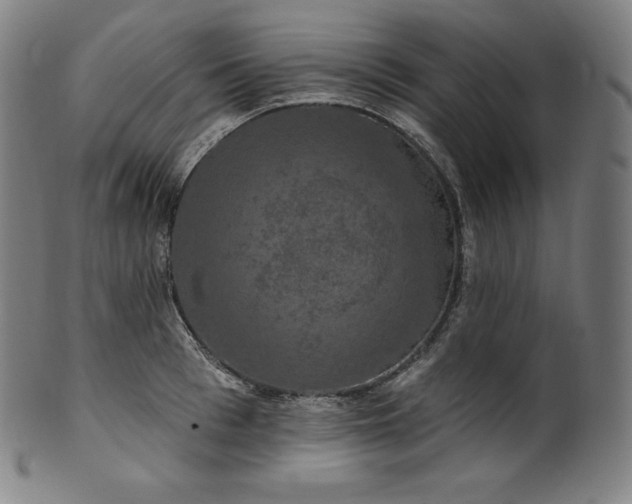 X0000099950993200806061538