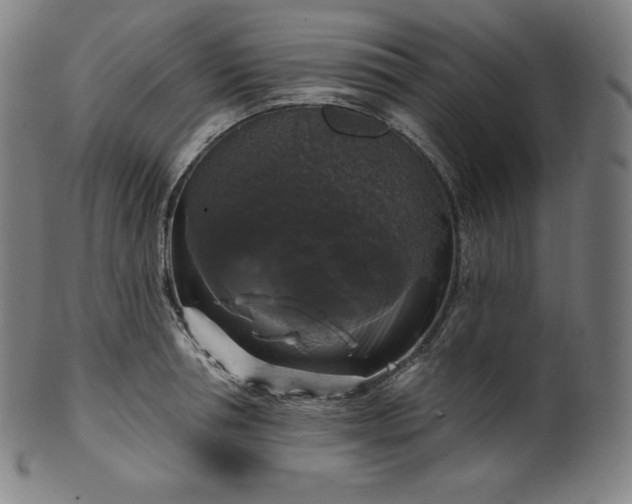 X0000099950994200806061538