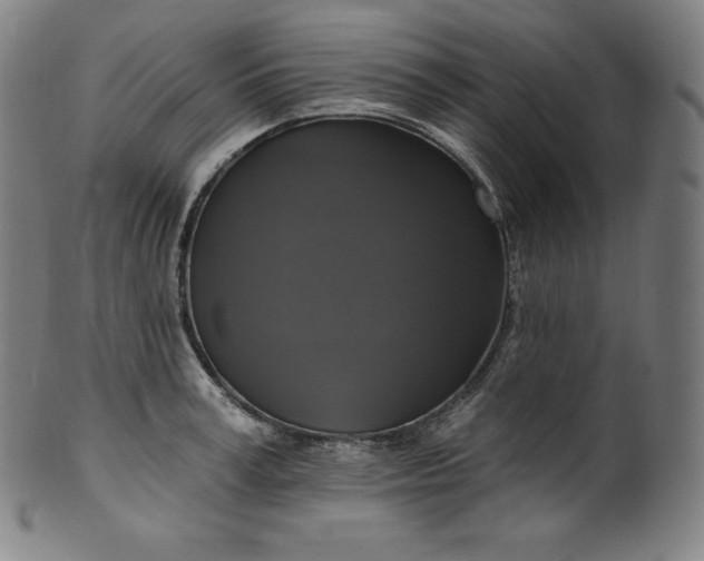 X0000099950995200806061538