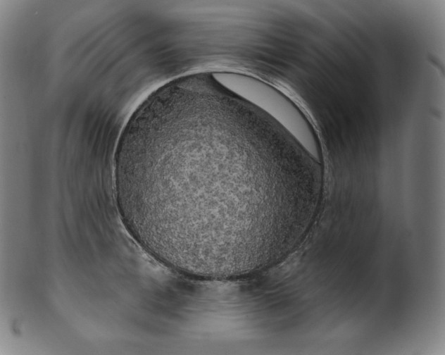 X0000099950996200806061538