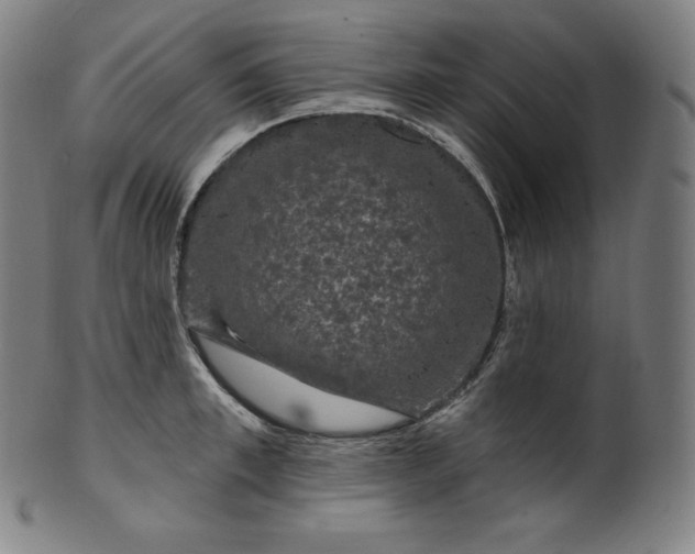 X0000099950997200806061538