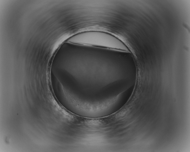 X0000099950998200806061538