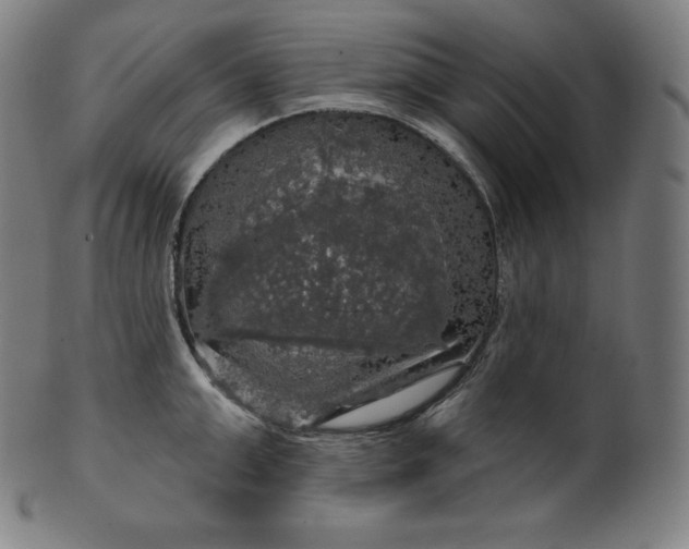 X0000099950999200806061538