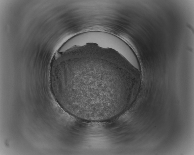 X0000099951000200806061538