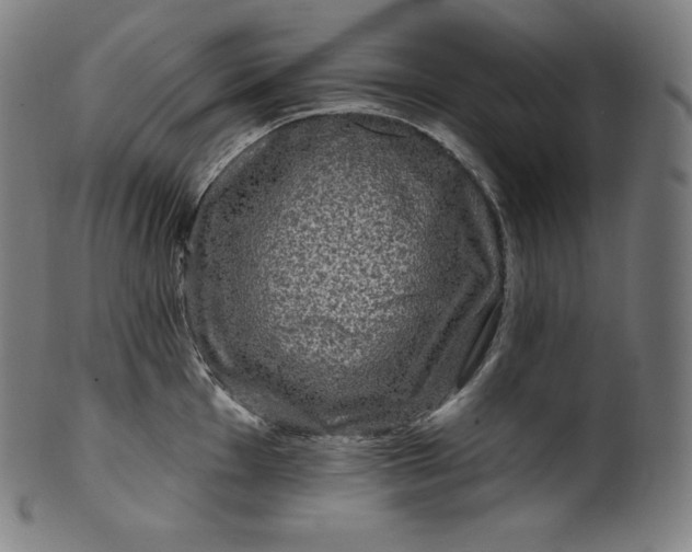 X0000099951001200806061538