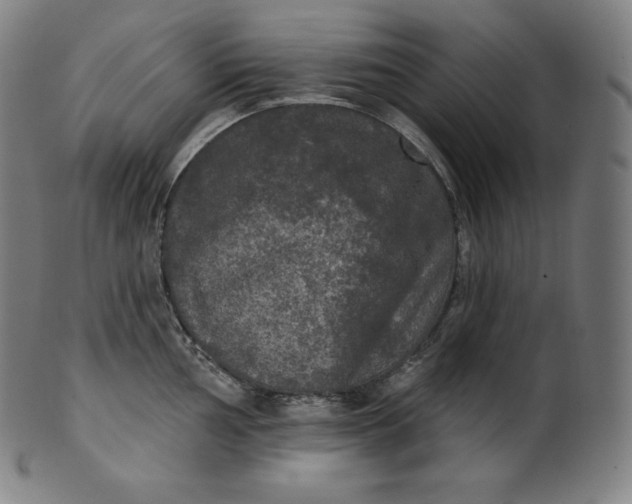 X0000099951002200806061538