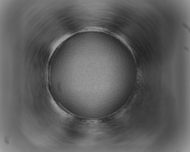 X0000099951003200806061538