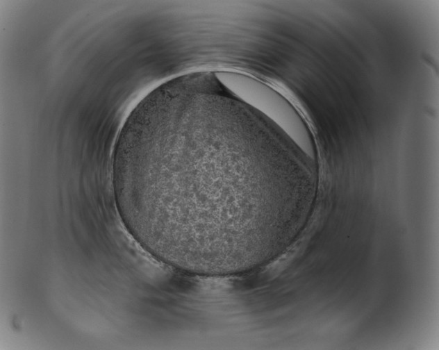 X0000099951004200806061538