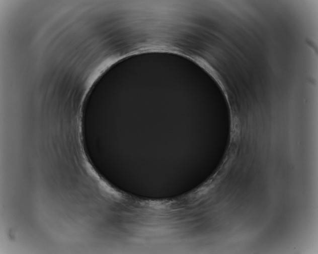 X0000099951005200806061538