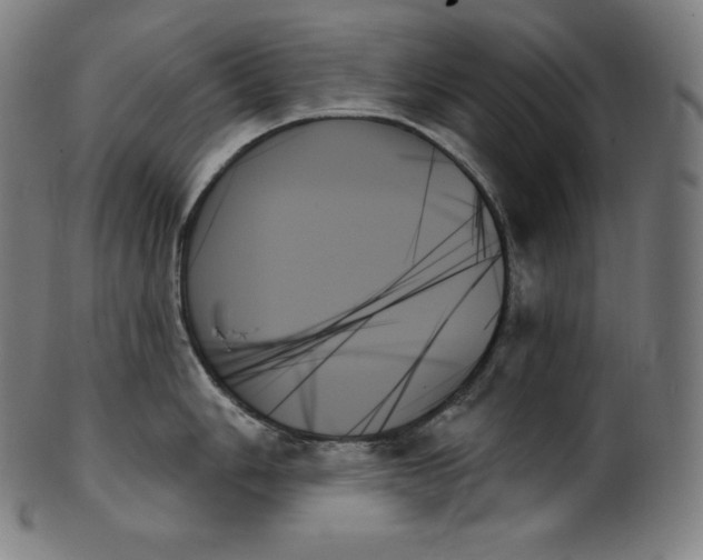 X0000099951006200806061538