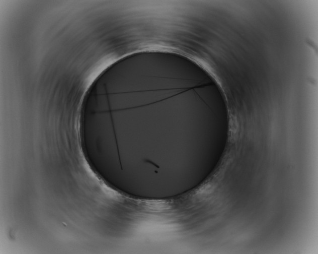 X0000099951007200806061538