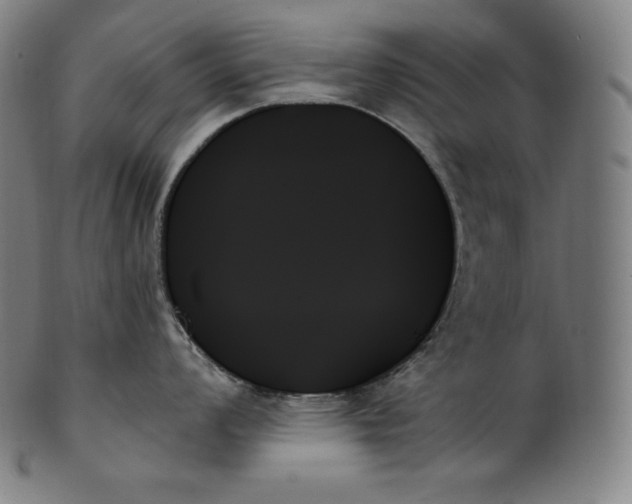 X0000099951008200806061538