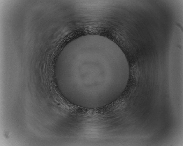 X0000099951009200806061537