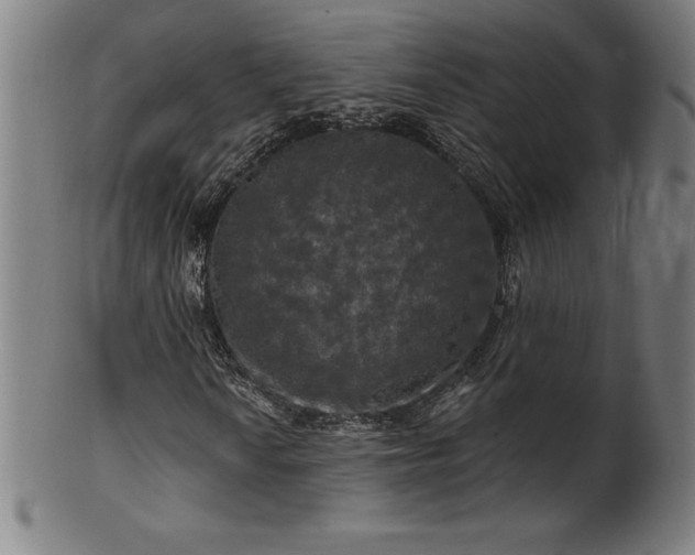 X0000099951010200806061537