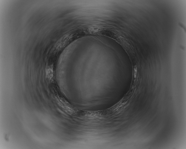 X0000099951011200806061537