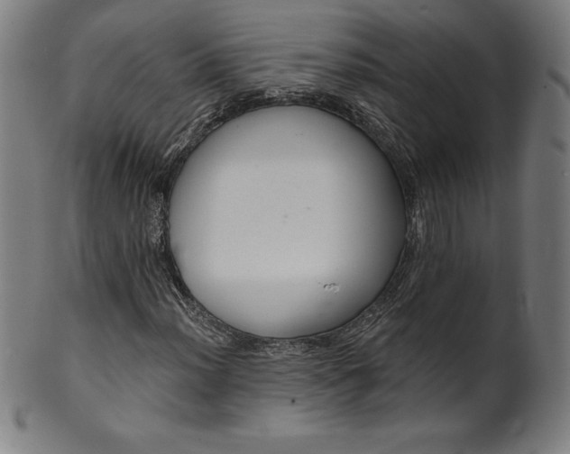 X0000099951012200806061537