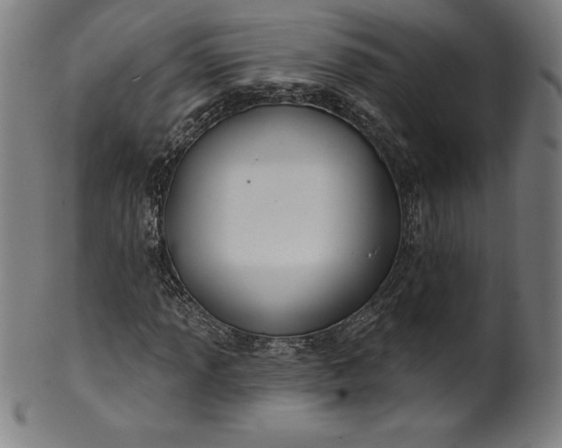 X0000099951013200806061537