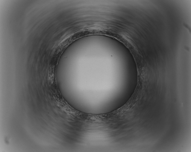 X0000099951015200806061537