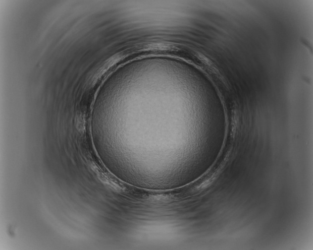 X0000099951017200806061537