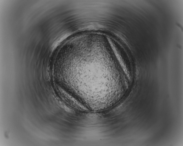 X0000099951018200806061537