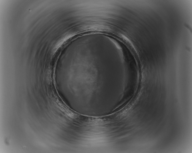 X0000099951019200806061537