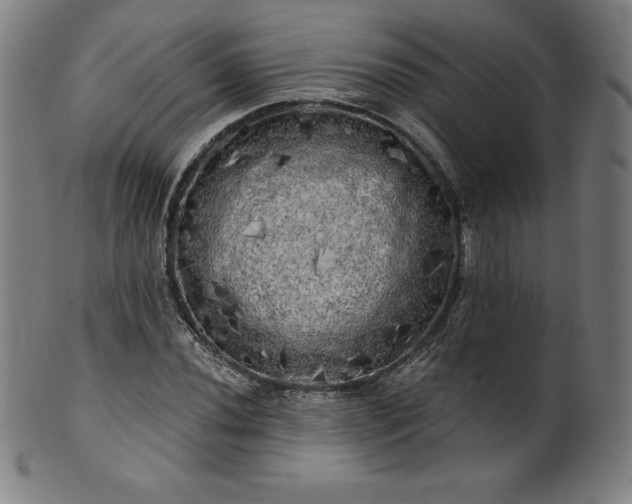 X0000099951020200806061537