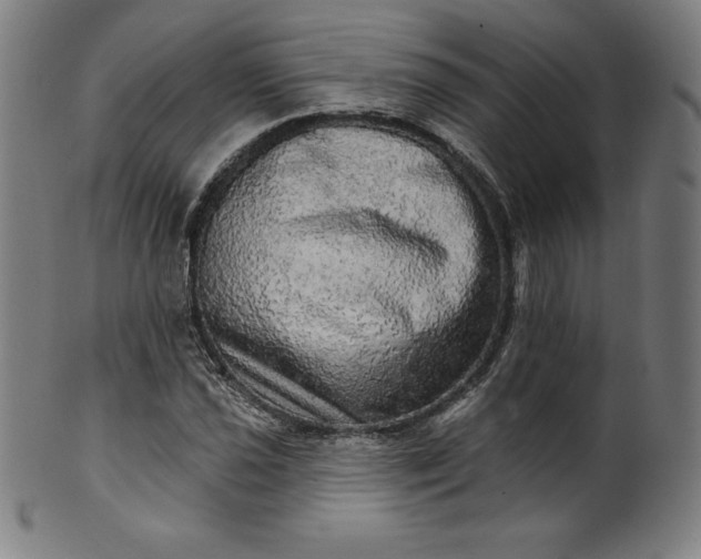 X0000099951021200806061537