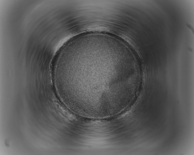 X0000099951022200806061537