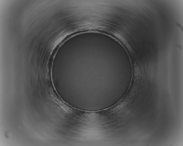 X0000099951023200806061537