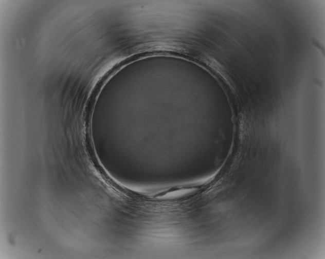 X0000099951024200806061537